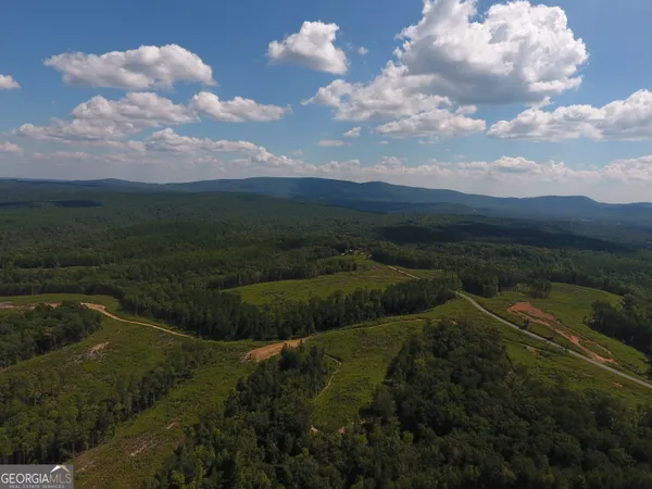 $799,500 | 0 Johnson Mountain Road, Unit 7401C, Fairmount, GA 30139