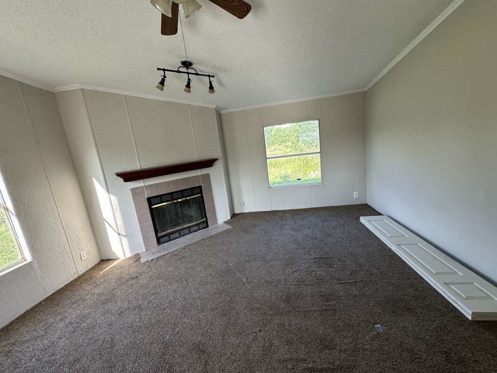 102 Bailey Street Van Alstyne, TX 75495 - Photo 2 of 14 an empty room with windows fireplace and sink