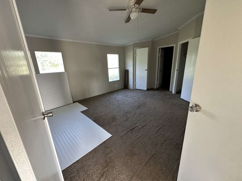 102 Bailey Street Van Alstyne, TX 75495 - Photo 10 of 14 a view of livingroom with hardwood floor and window