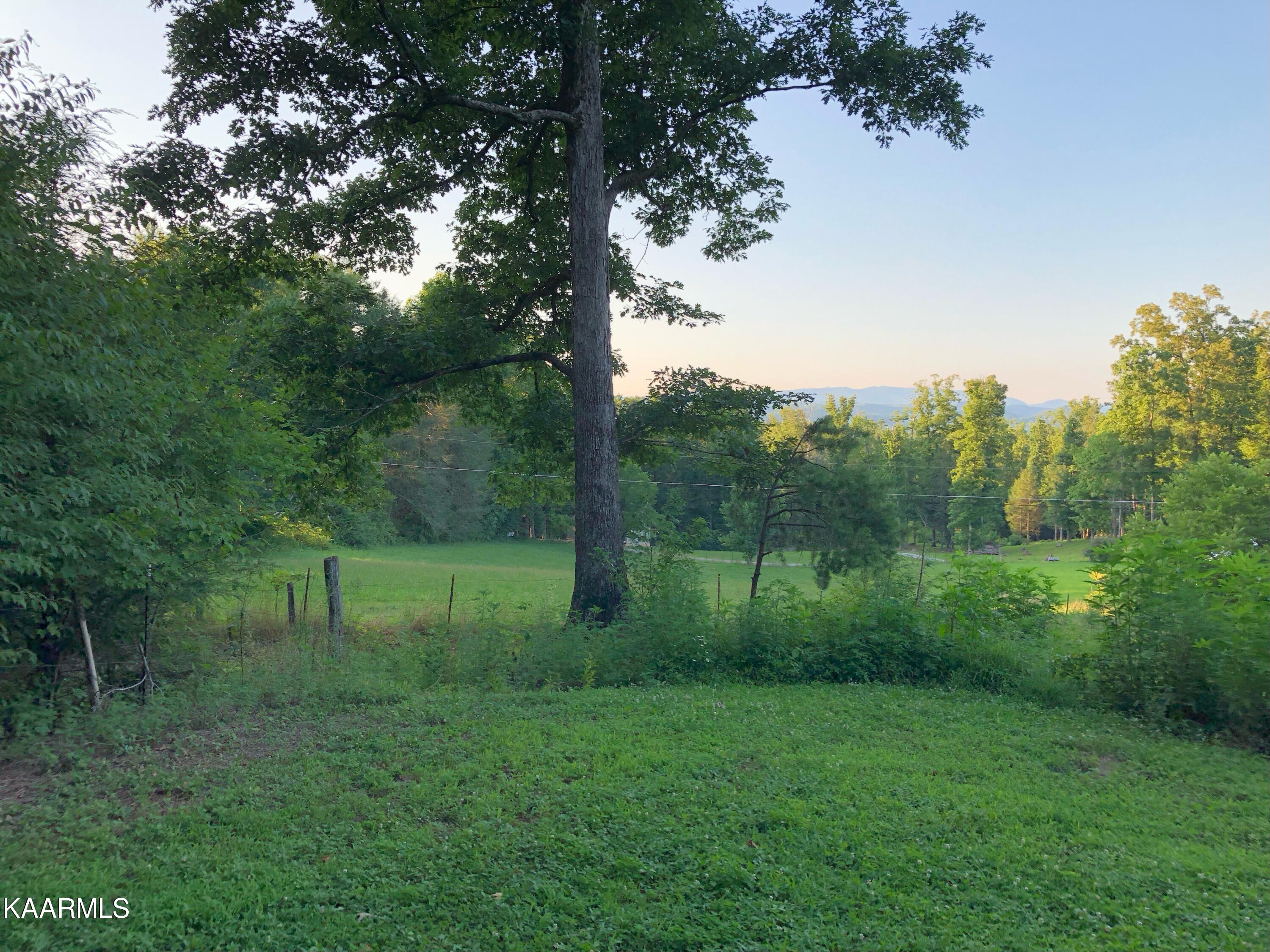 1027 Dry Valley Road Townsend, TN 37882 - Photo 2 of 17 IMG_6864