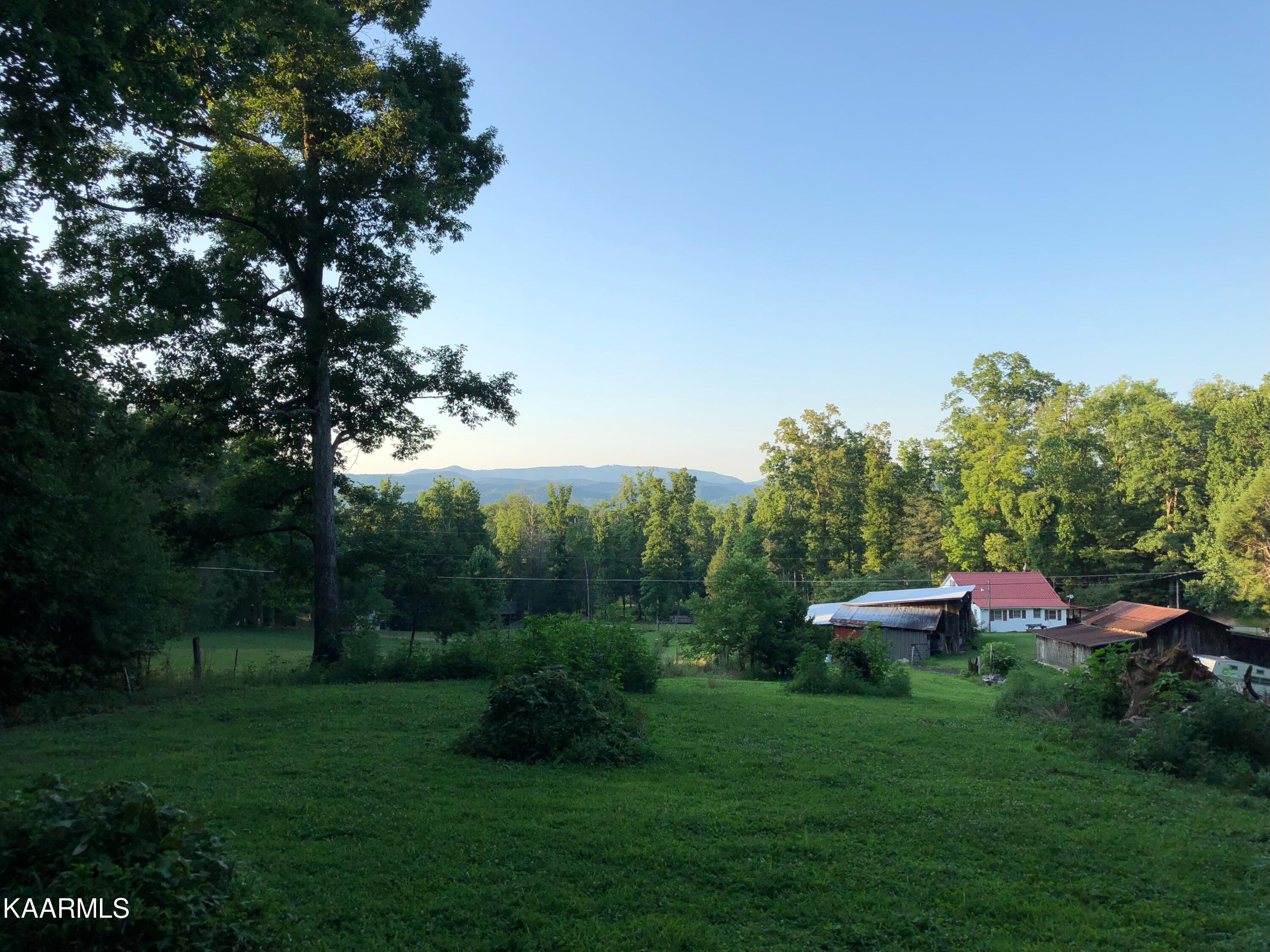 1027 Dry Valley Road Townsend, TN 37882 - Photo 5 of 17 IMG_6857