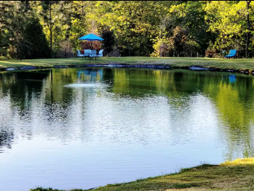 885 Mauk Road Mauk, GA 31058 - Photo 23 of 35 Gallery Image 23