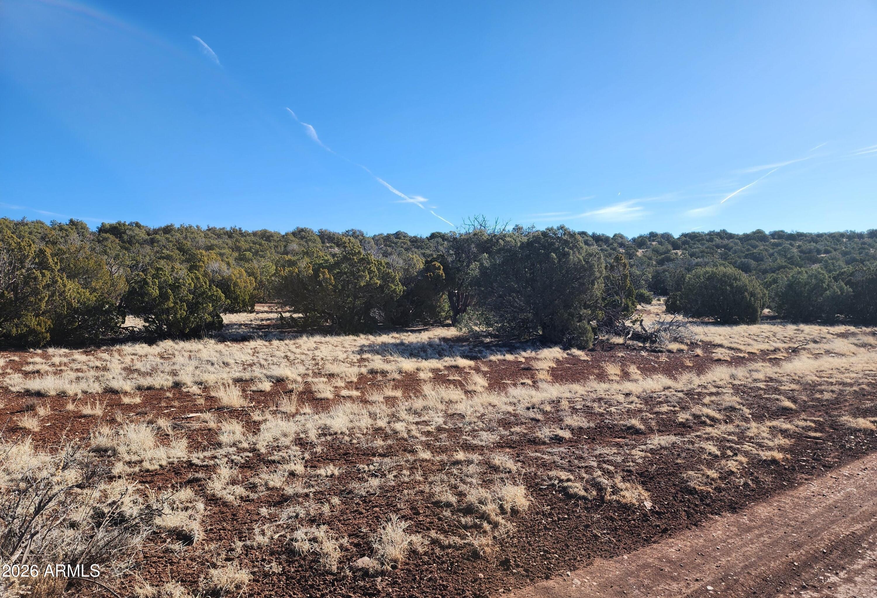 2 County Road Concho, AZ 85924 - Photo 6 of 10 2 County Rd N8715