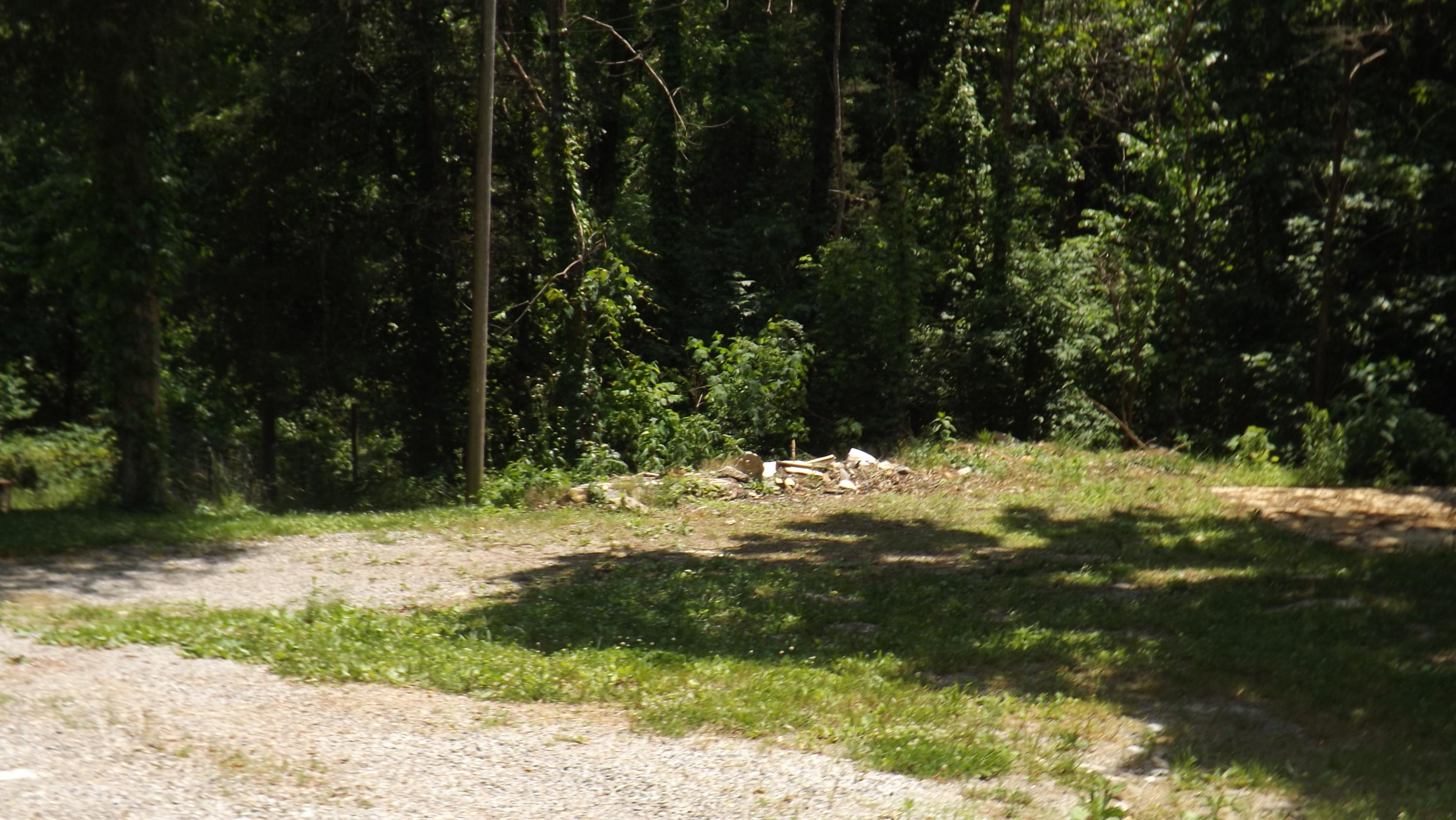 289 Bug Hole Road Cumberland Gap, TN 37724 - Photo 5 of 28 DSCF6819