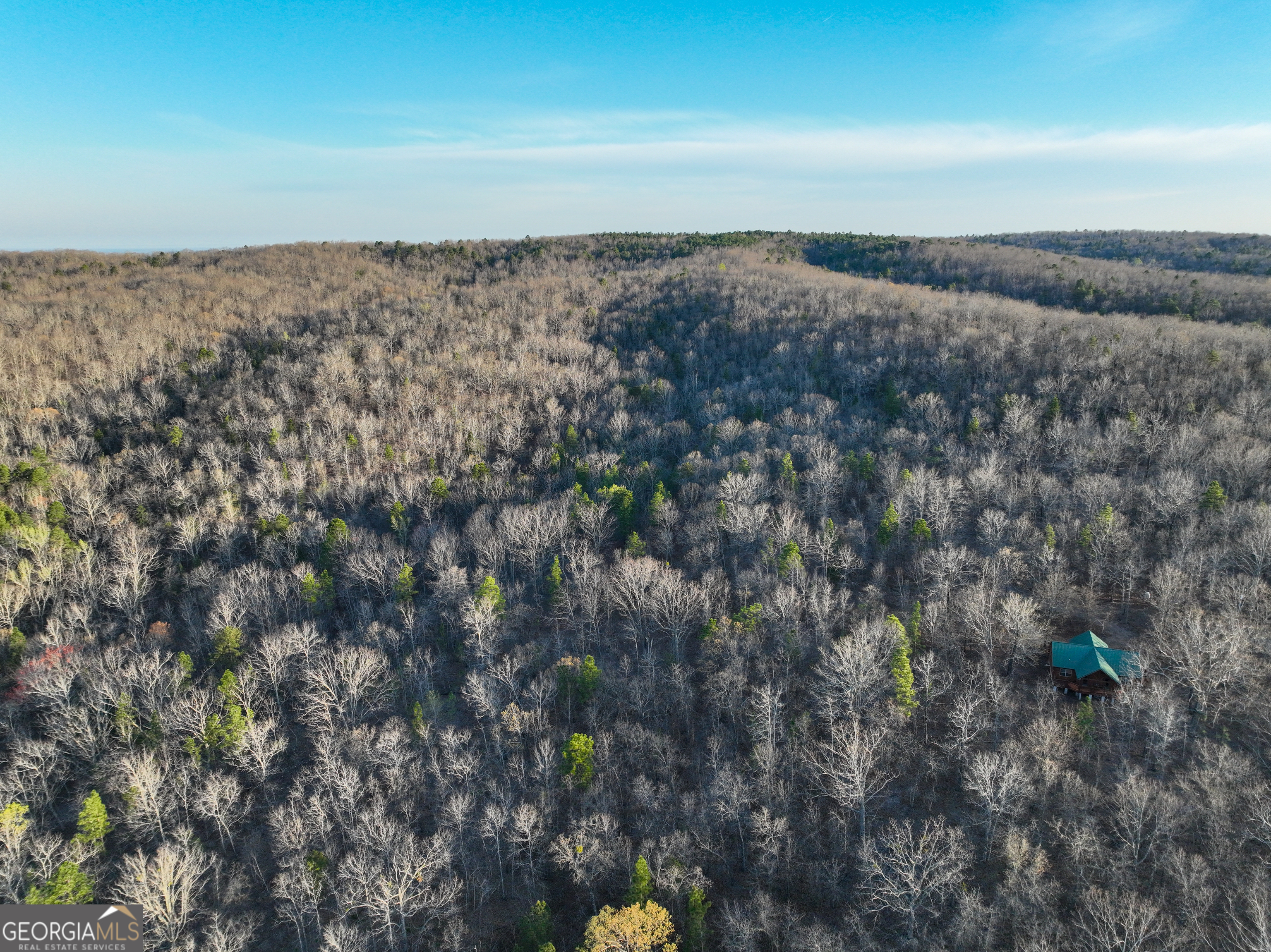 3270 Jeff Davis Road Thomaston, GA 30286 - Photo 22 of 49