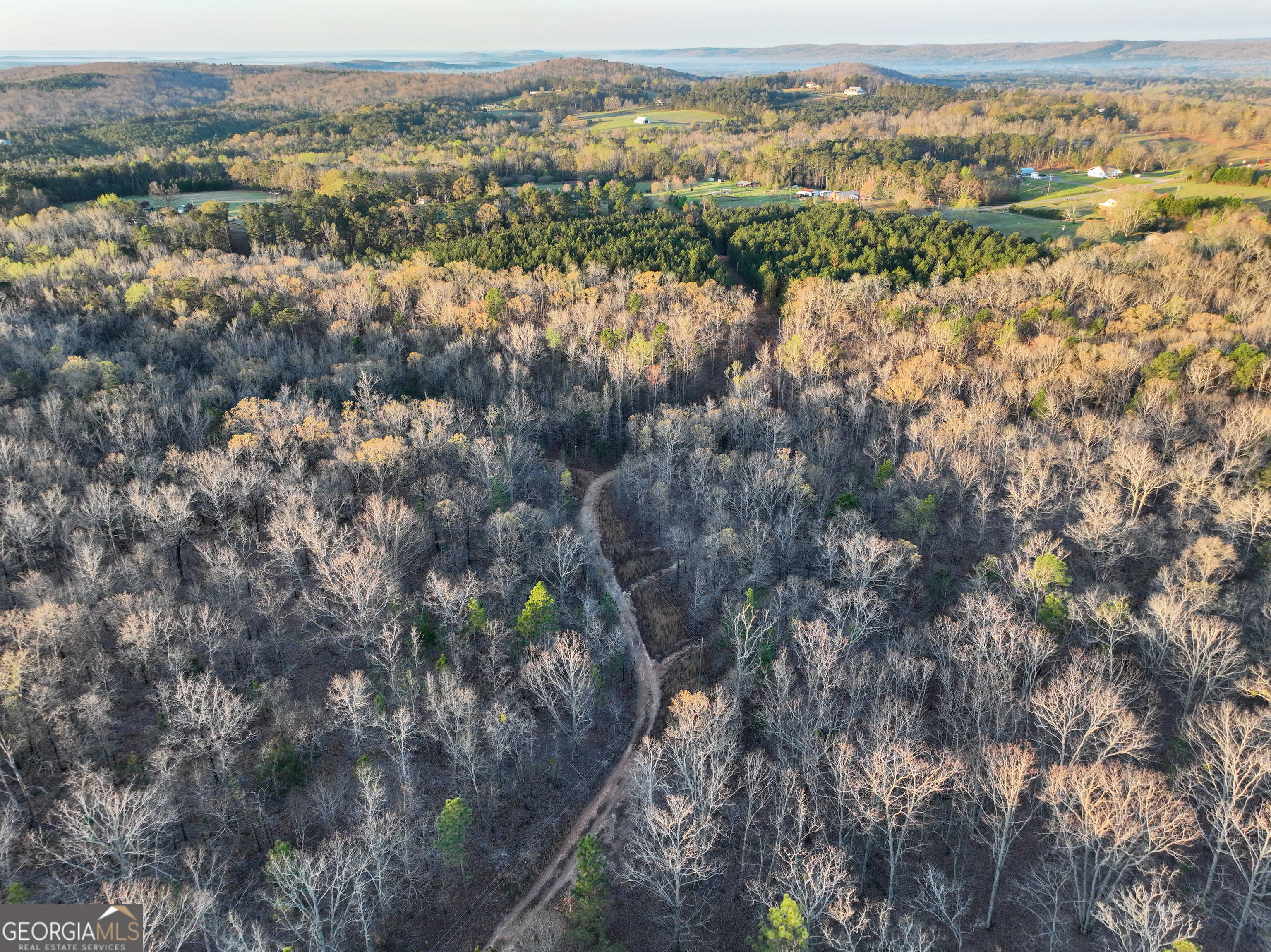 3270 Jeff Davis Road Thomaston, GA 30286 - Photo 26 of 49