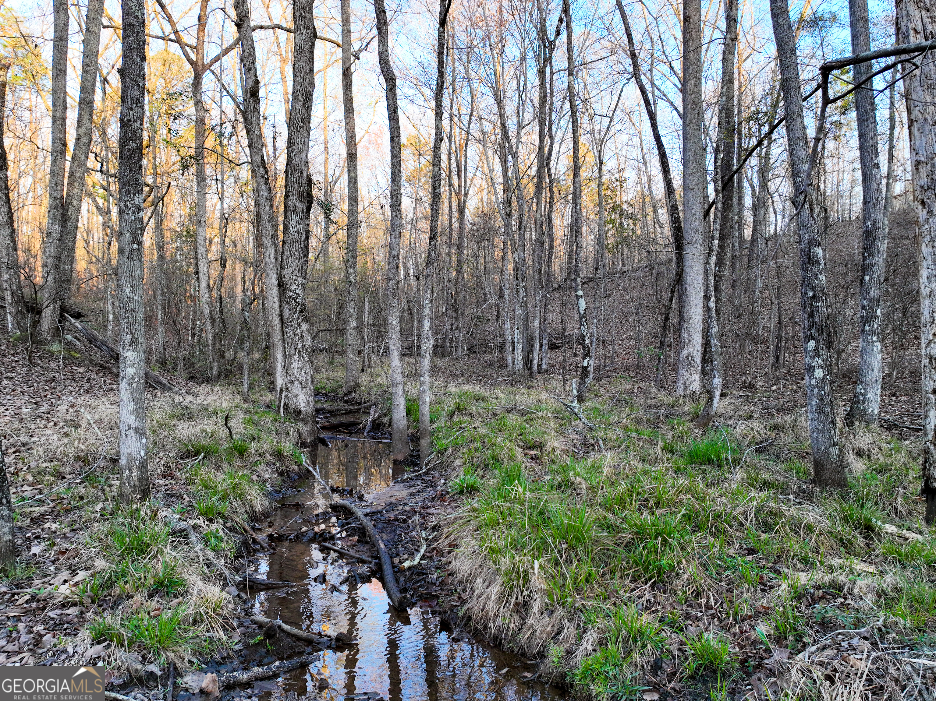 3270 Jeff Davis Road Thomaston, GA 30286 - Photo 27 of 49