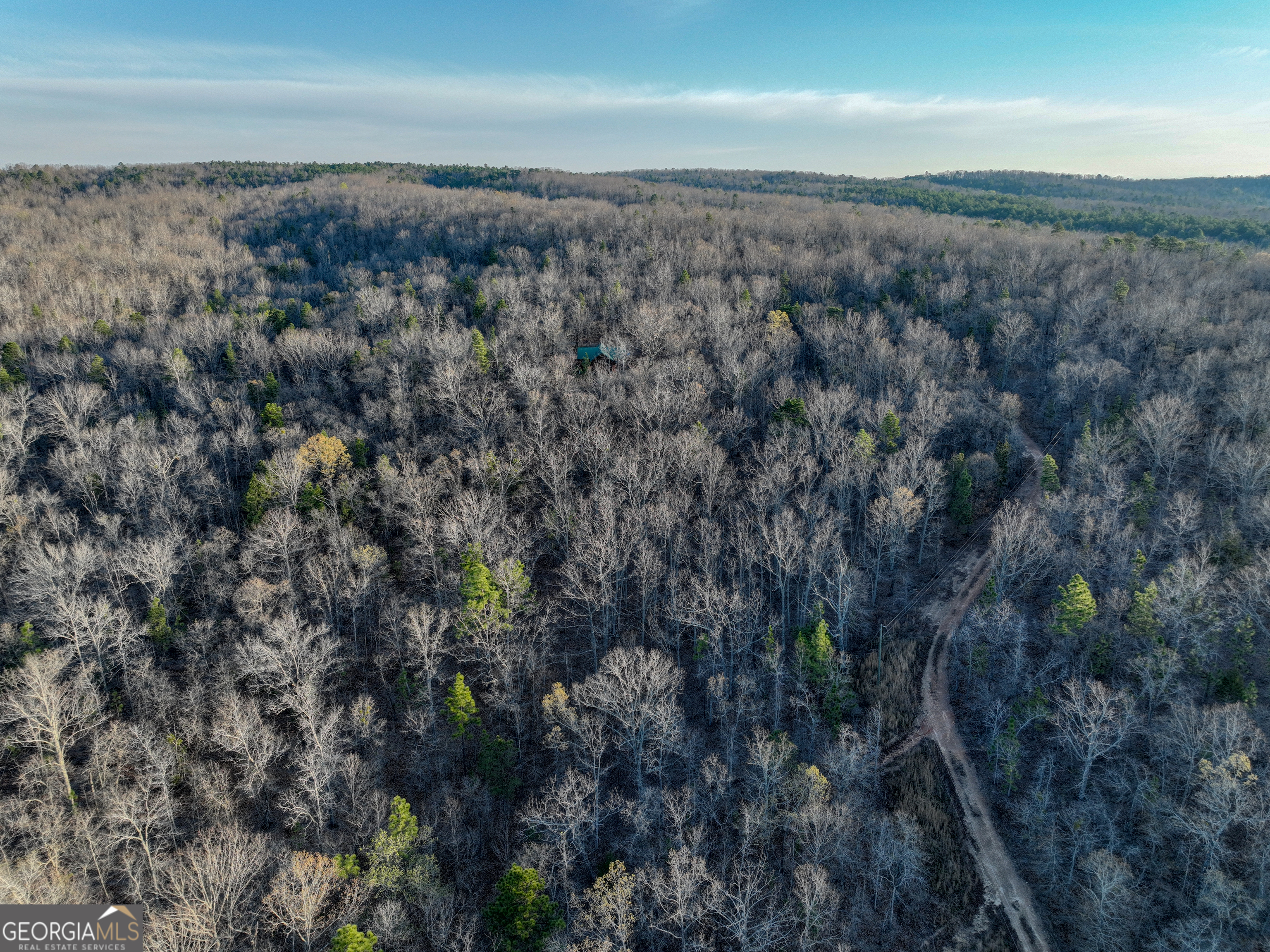 3270 Jeff Davis Road Thomaston, GA 30286 - Photo 29 of 49