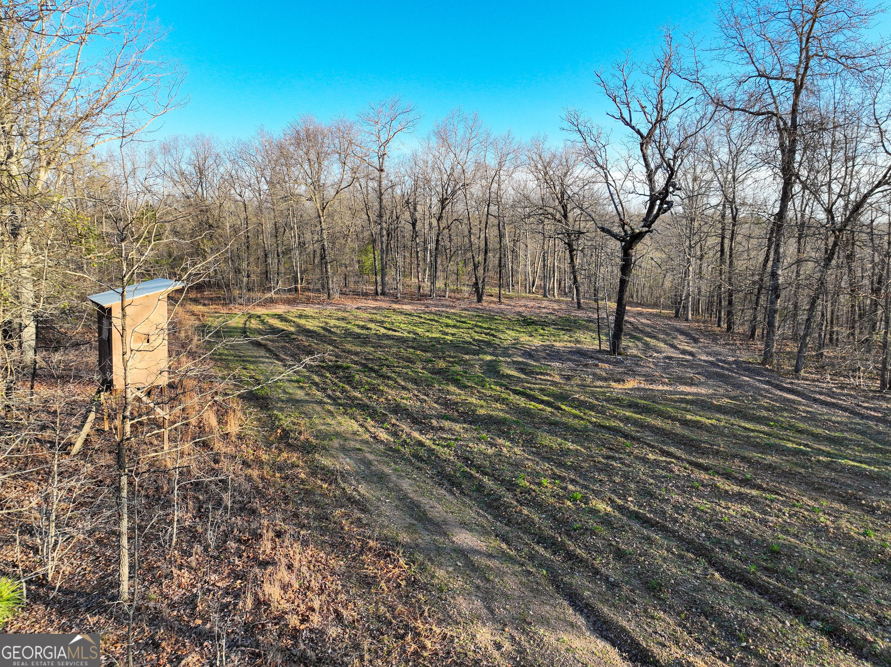 3270 Jeff Davis Road Thomaston, GA 30286 - Photo 31 of 49