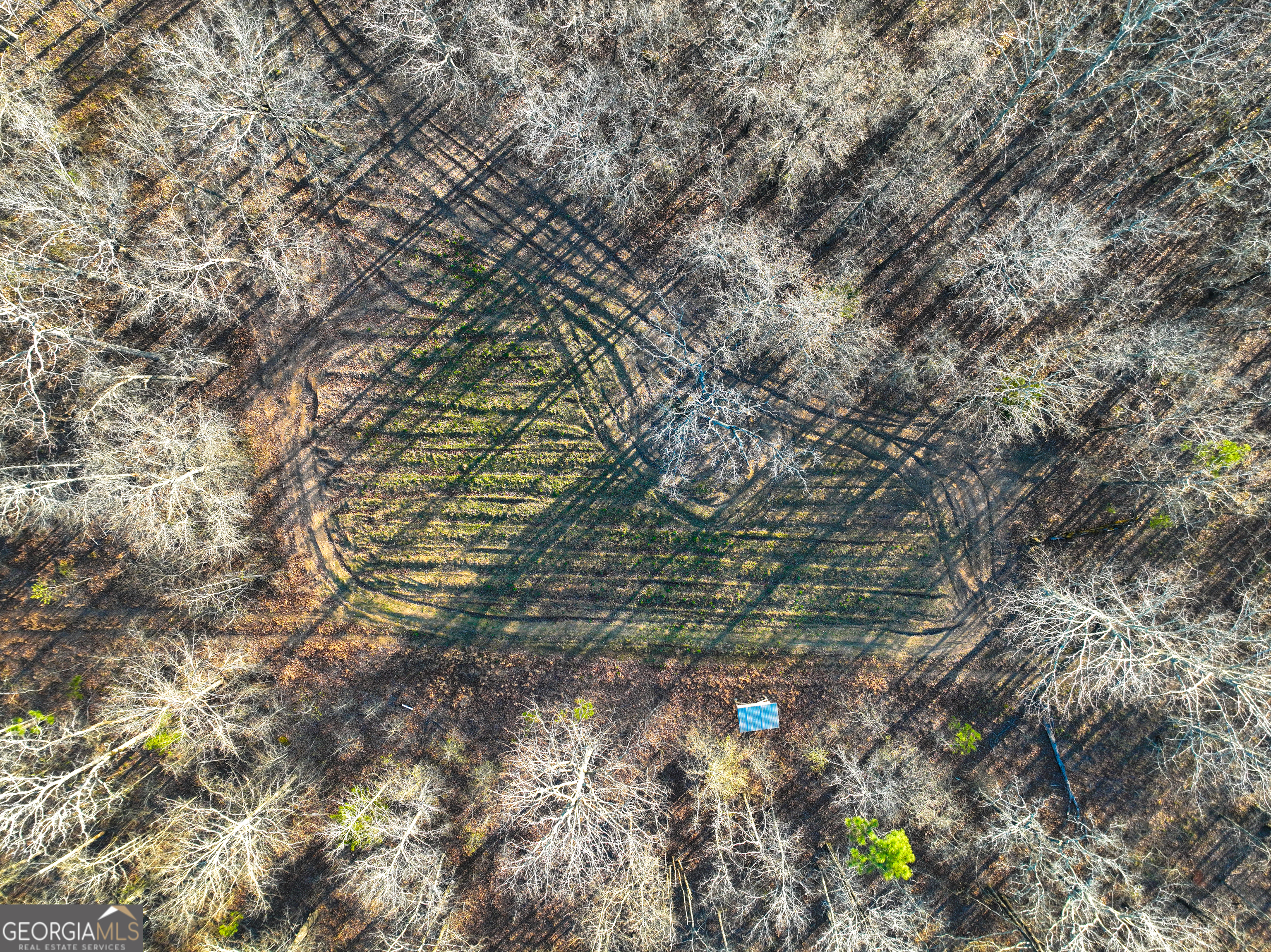 3270 Jeff Davis Road Thomaston, GA 30286 - Photo 32 of 49