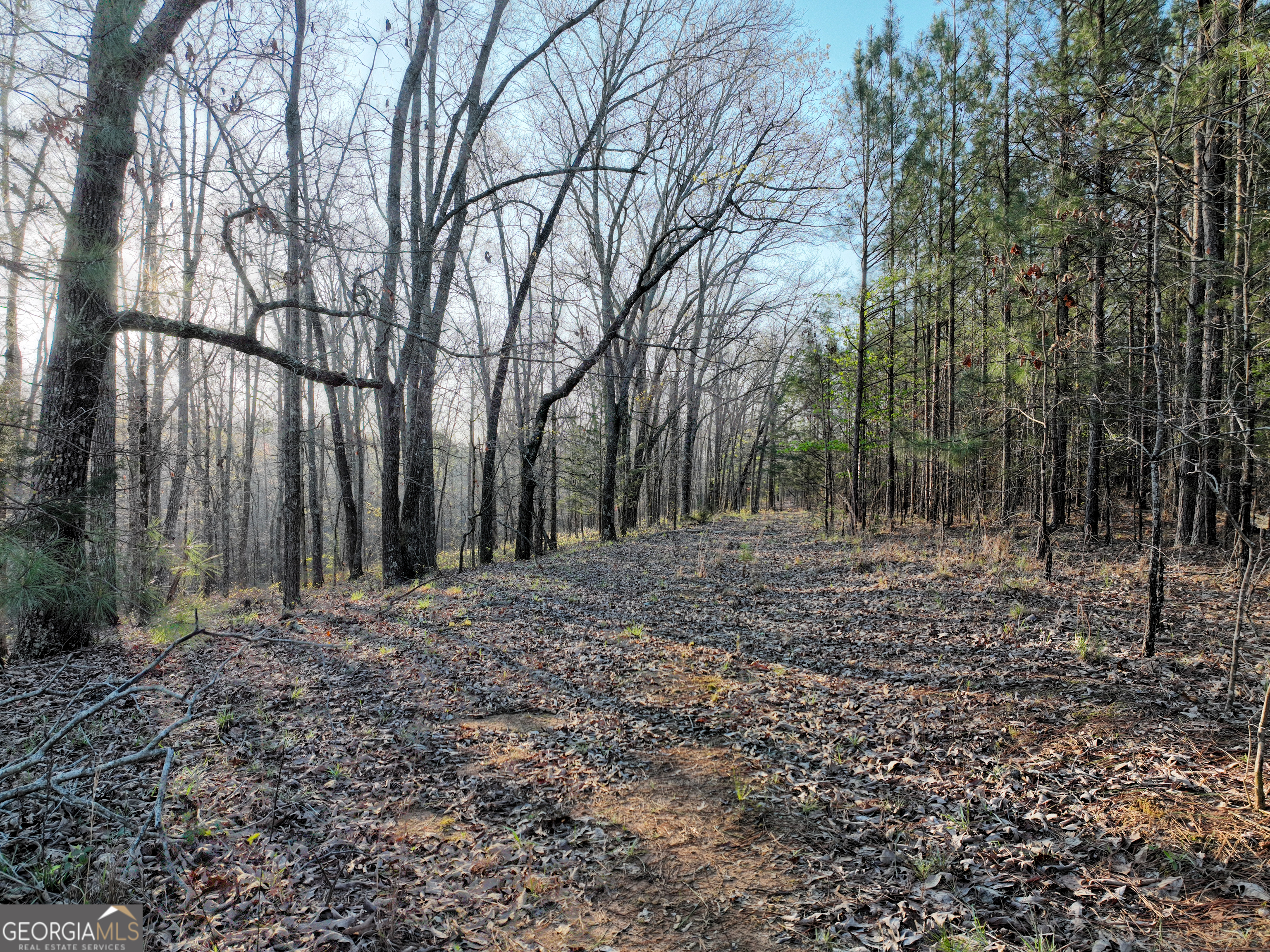 3270 Jeff Davis Road Thomaston, GA 30286 - Photo 33 of 49