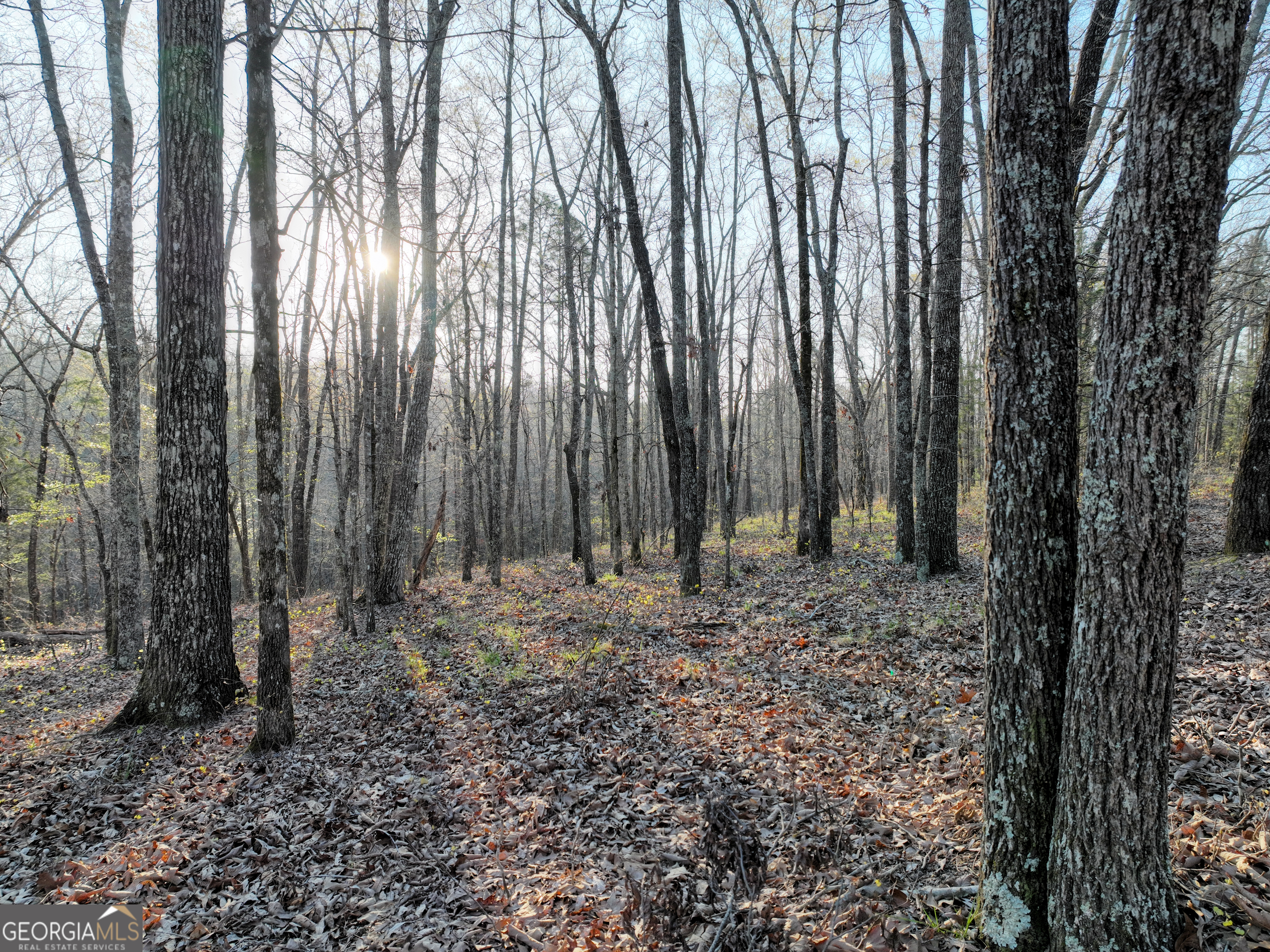 3270 Jeff Davis Road Thomaston, GA 30286 - Photo 34 of 49