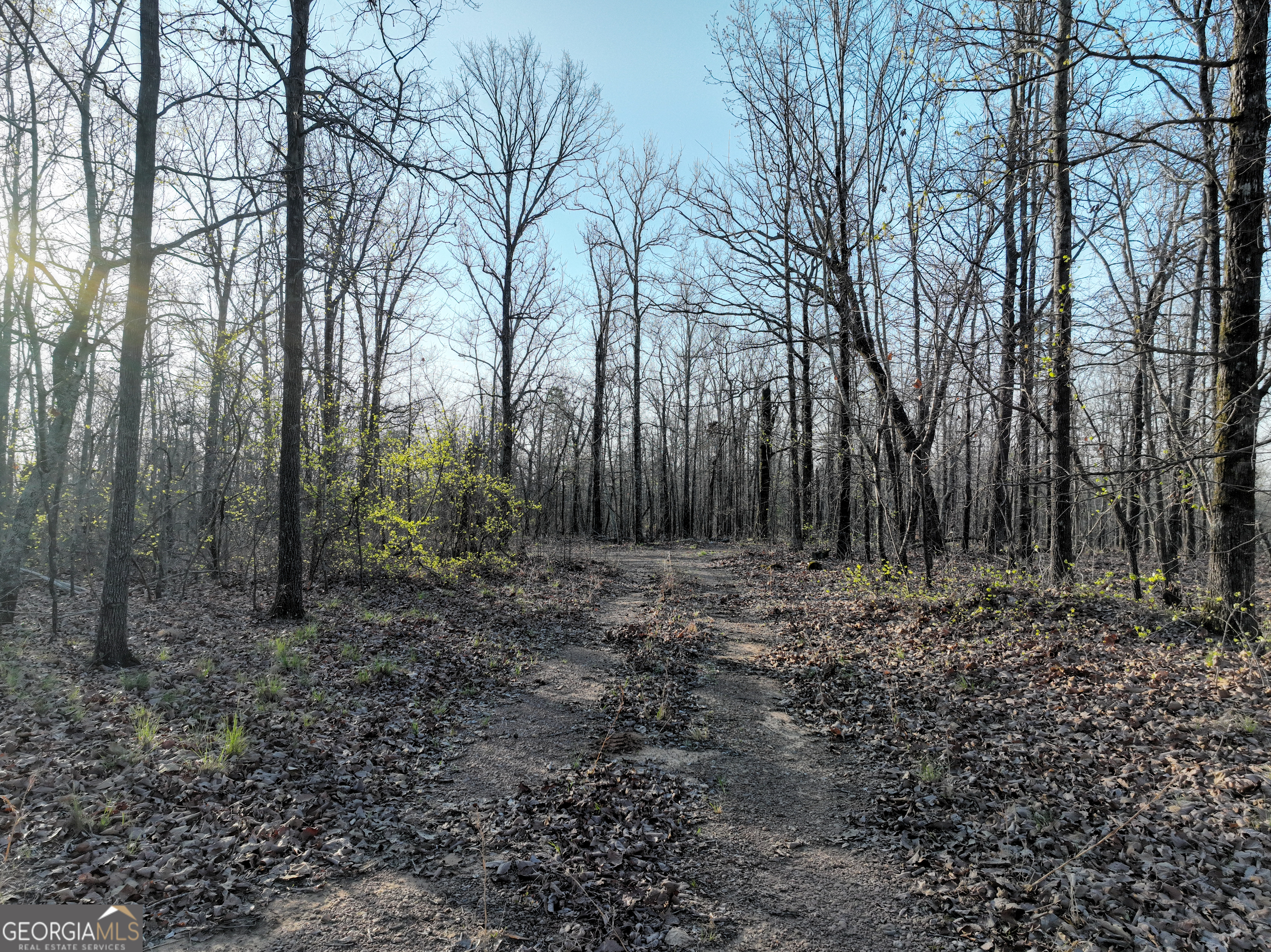 3270 Jeff Davis Road Thomaston, GA 30286 - Photo 35 of 49