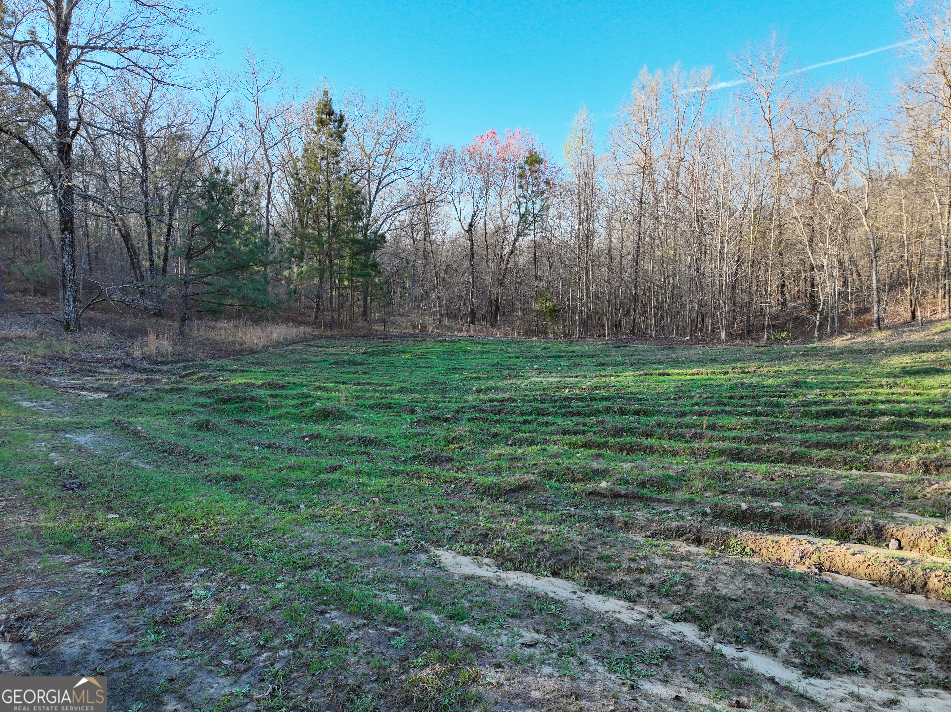 3270 Jeff Davis Road Thomaston, GA 30286 - Photo 37 of 49