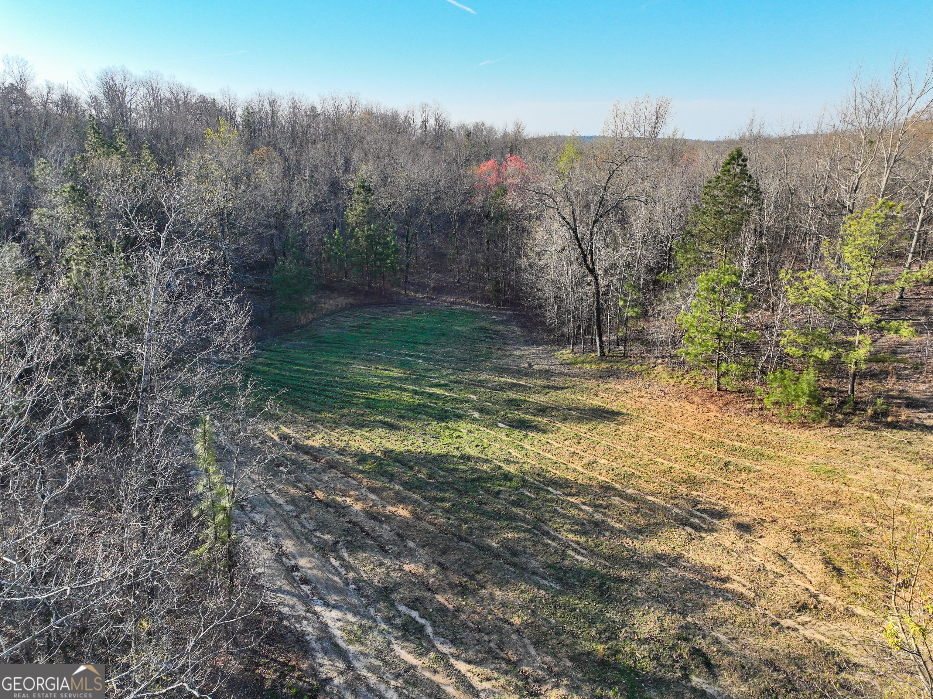 3270 Jeff Davis Road Thomaston, GA 30286 - Photo 38 of 49