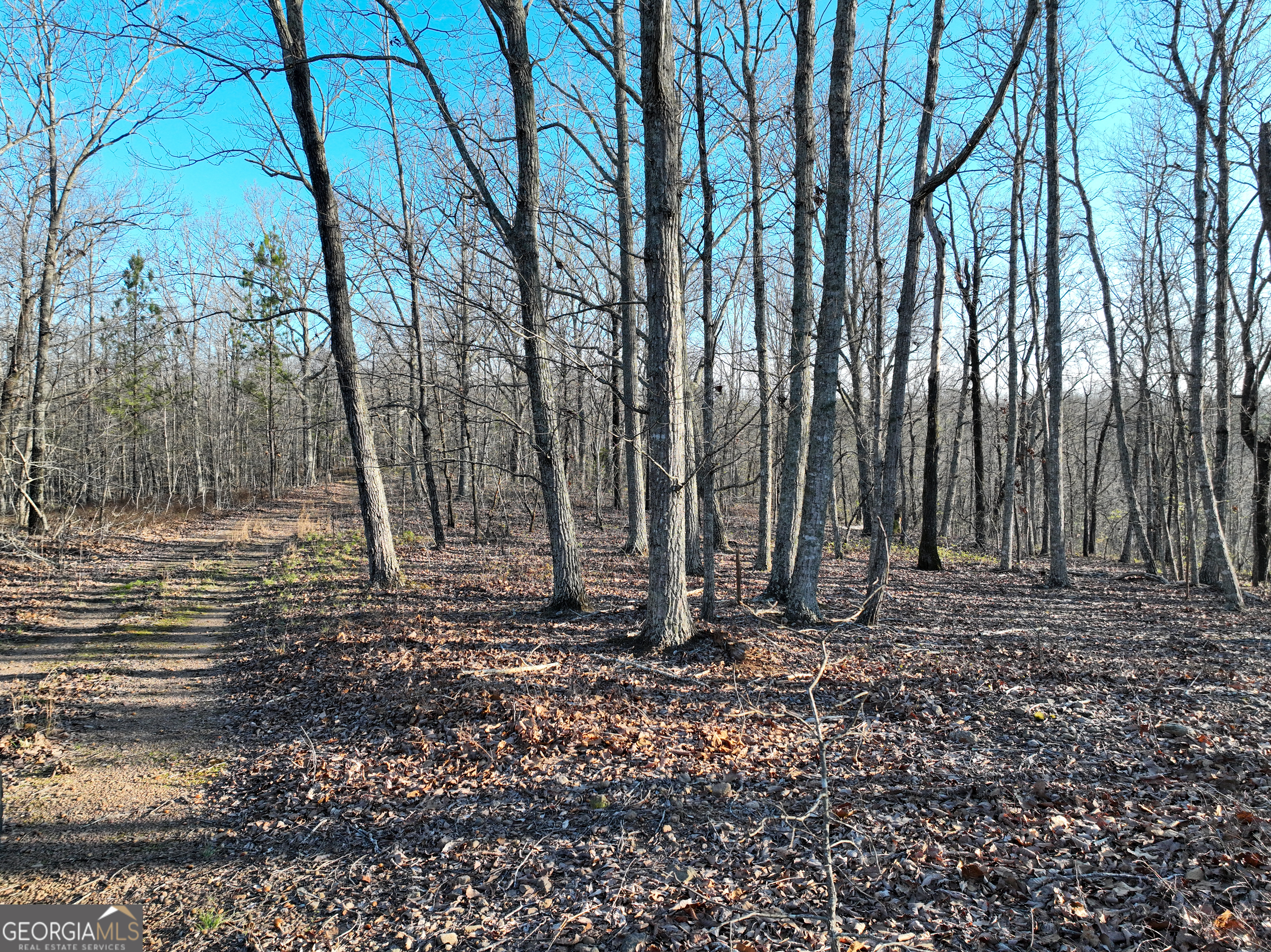 3270 Jeff Davis Road Thomaston, GA 30286 - Photo 39 of 49