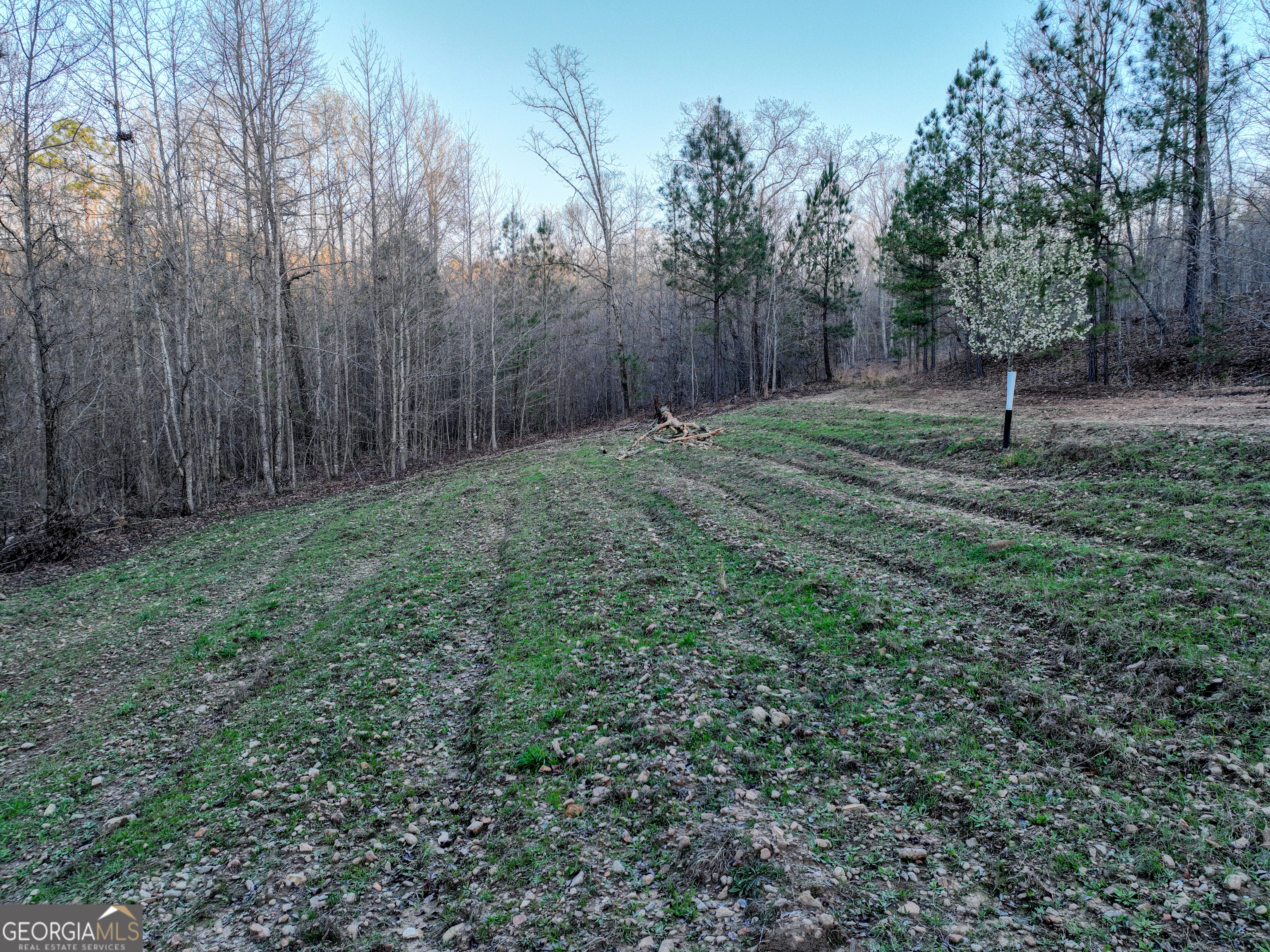 3270 Jeff Davis Road Thomaston, GA 30286 - Photo 40 of 49