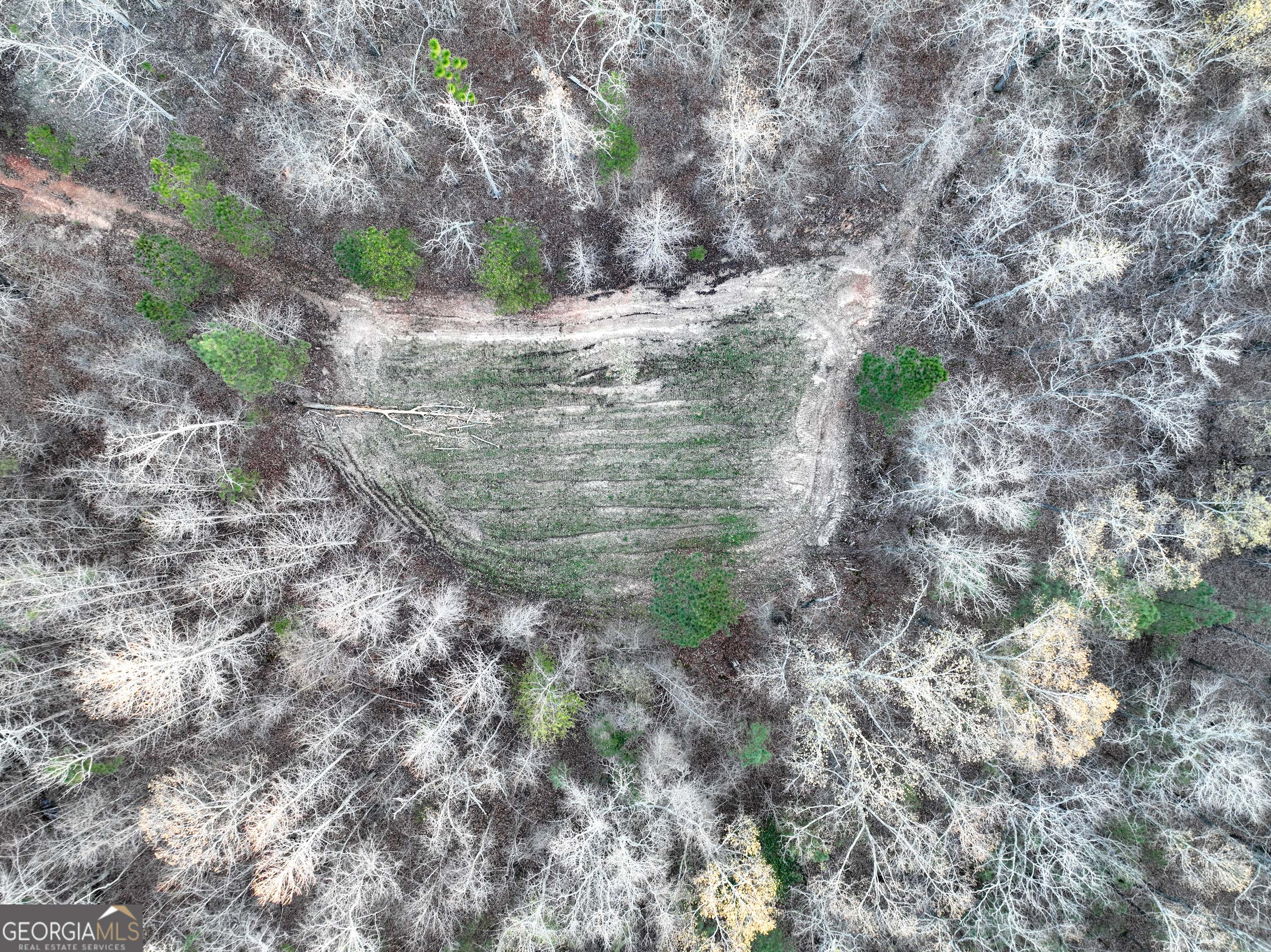 3270 Jeff Davis Road Thomaston, GA 30286 - Photo 41 of 49