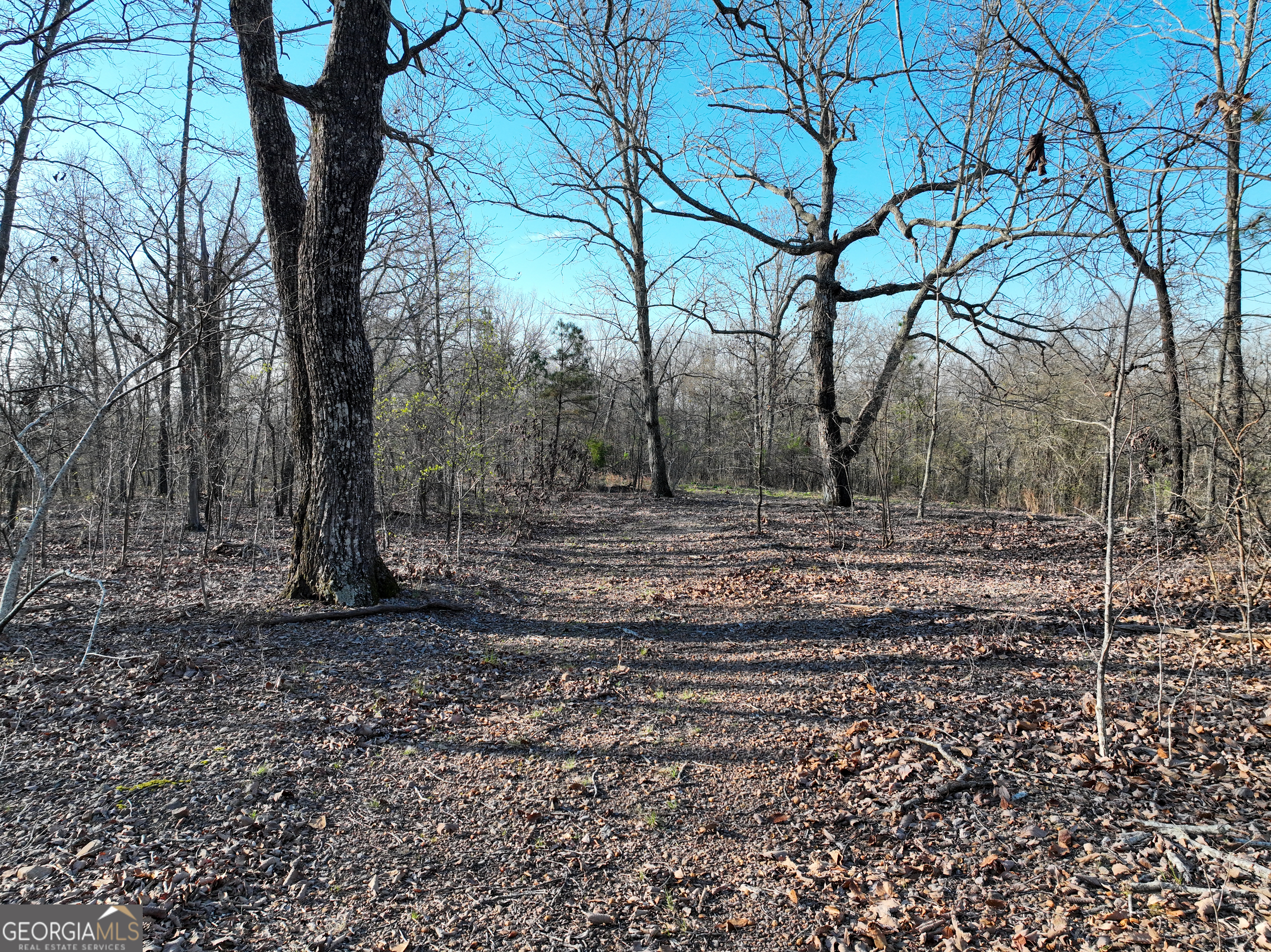 3270 Jeff Davis Road Thomaston, GA 30286 - Photo 42 of 49