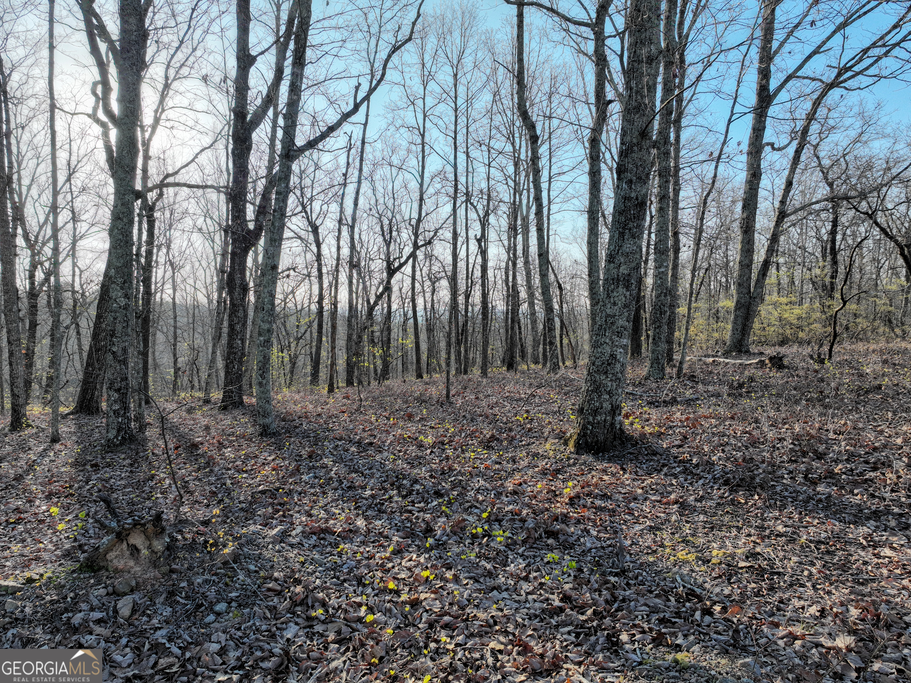 3270 Jeff Davis Road Thomaston, GA 30286 - Photo 43 of 49