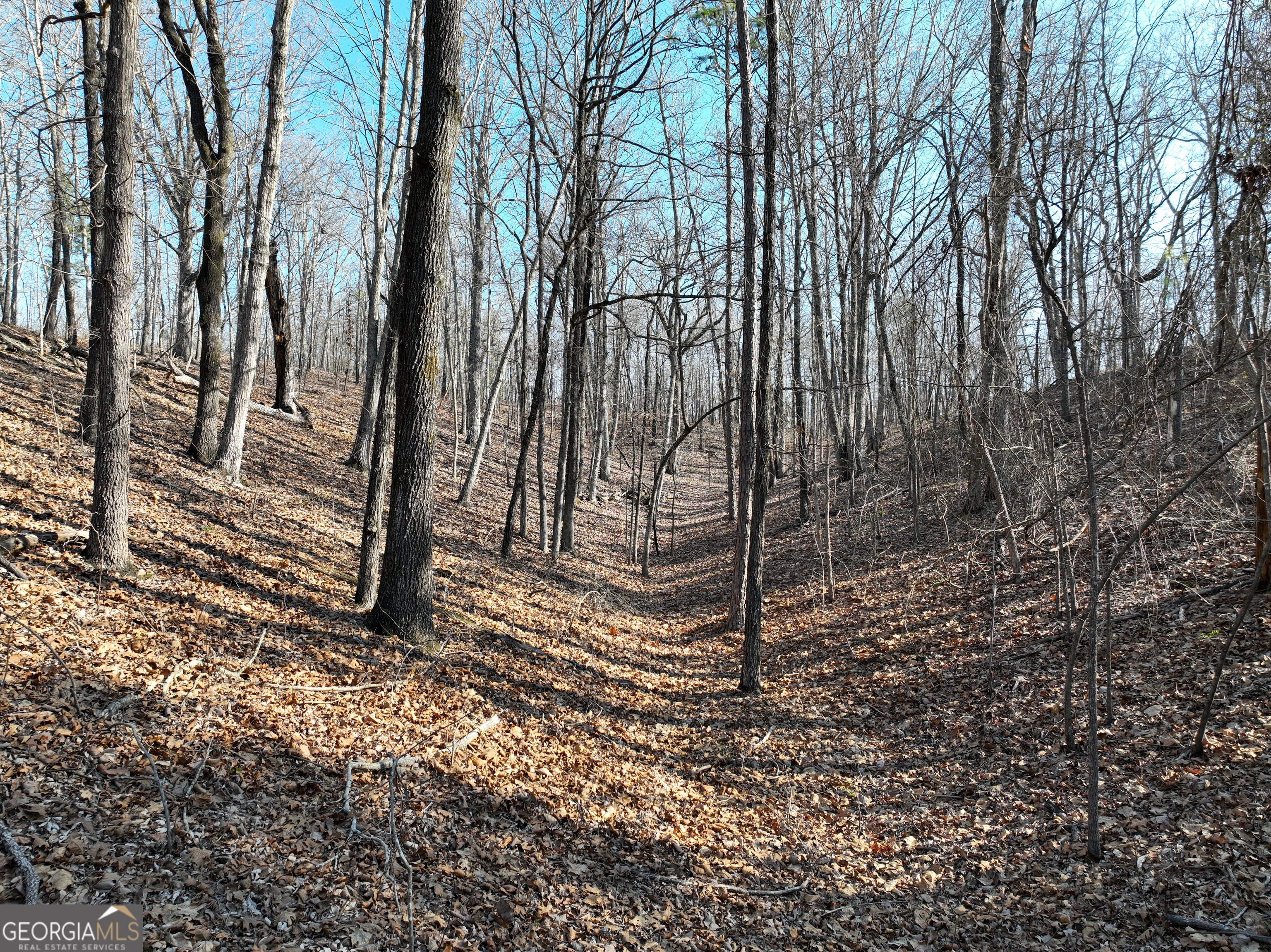 3270 Jeff Davis Road Thomaston, GA 30286 - Photo 44 of 49