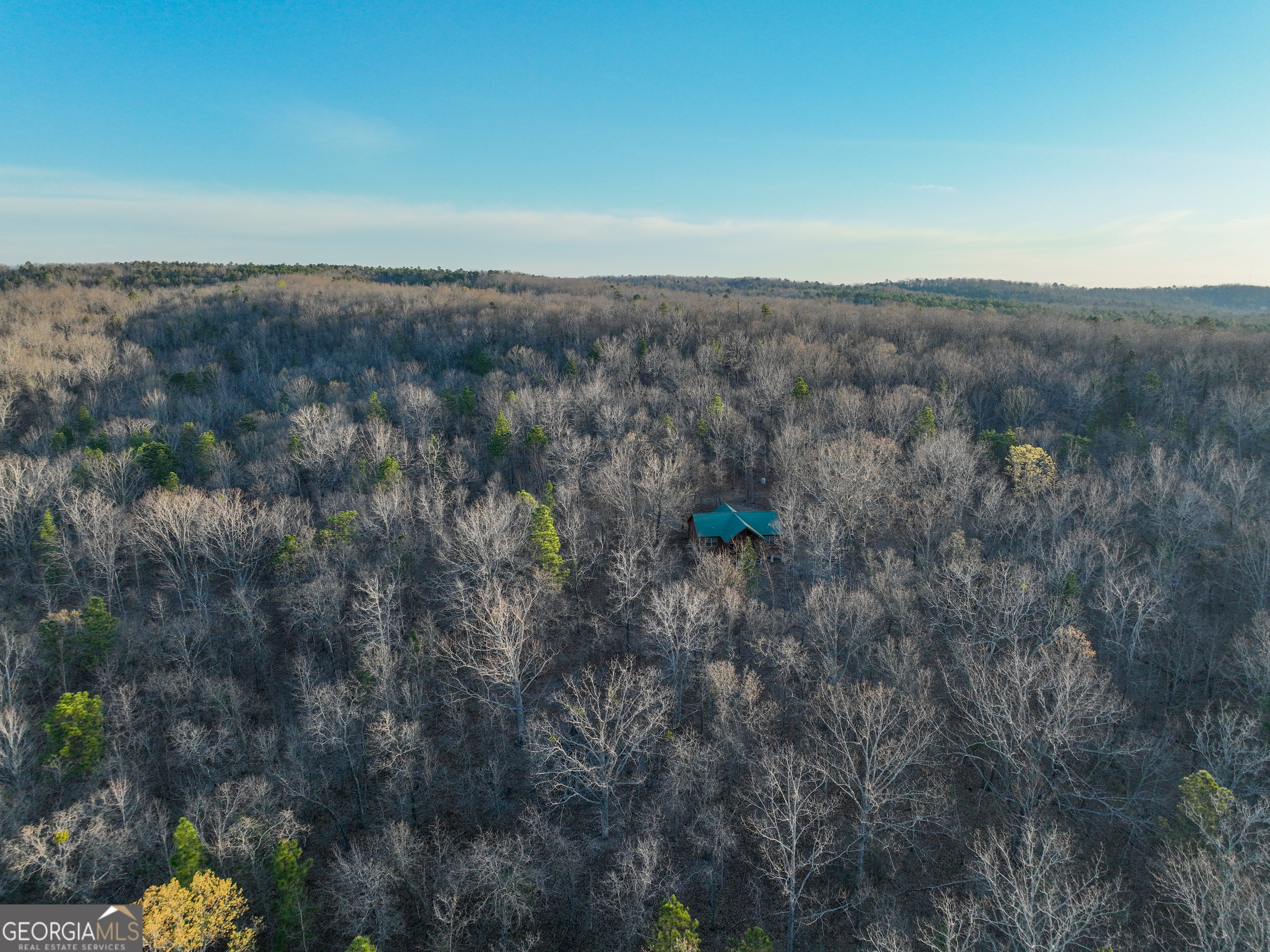 3270 Jeff Davis Road Thomaston, GA 30286 - Photo 45 of 49