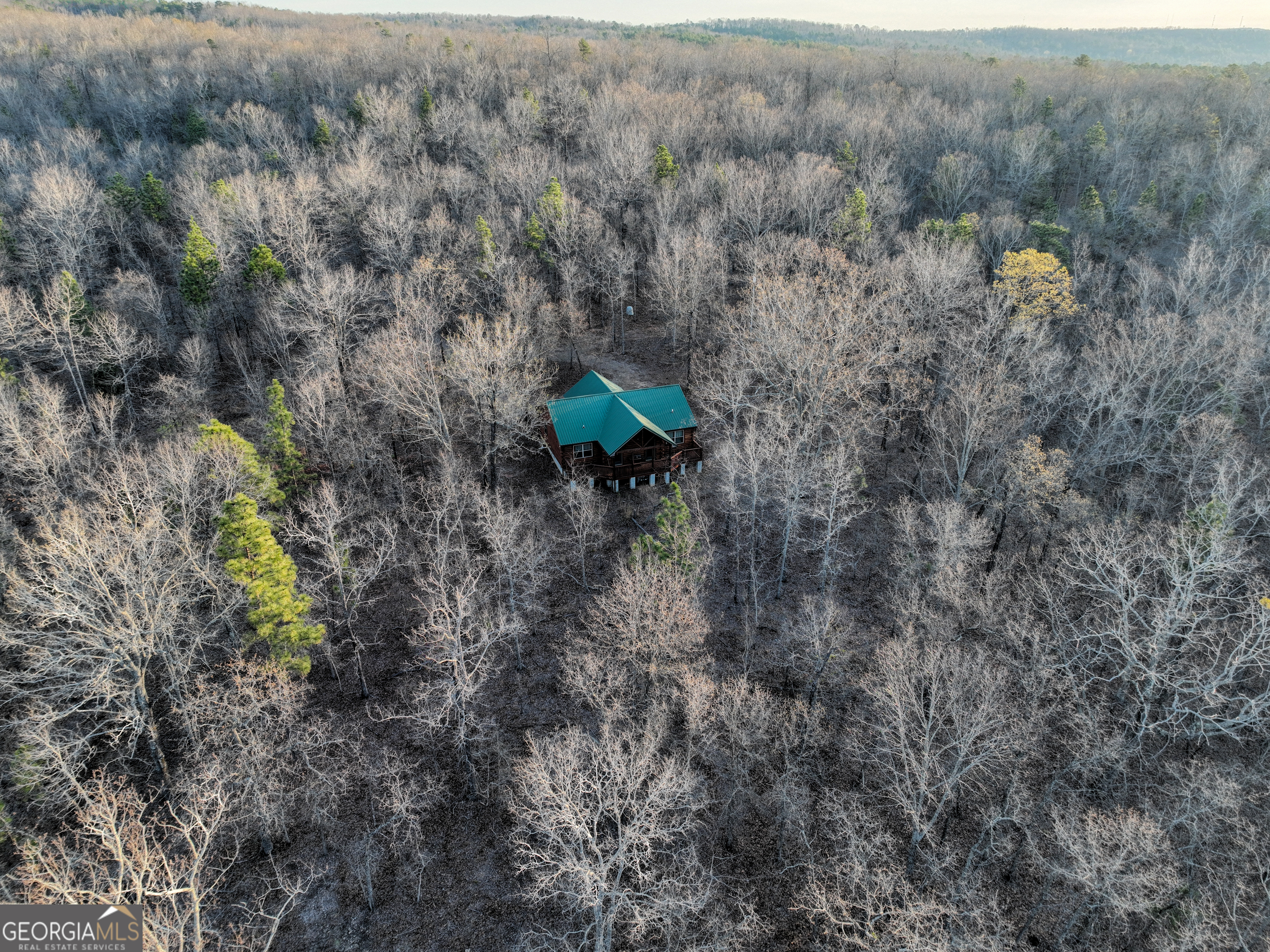 3270 Jeff Davis Road Thomaston, GA 30286 - Photo 46 of 49