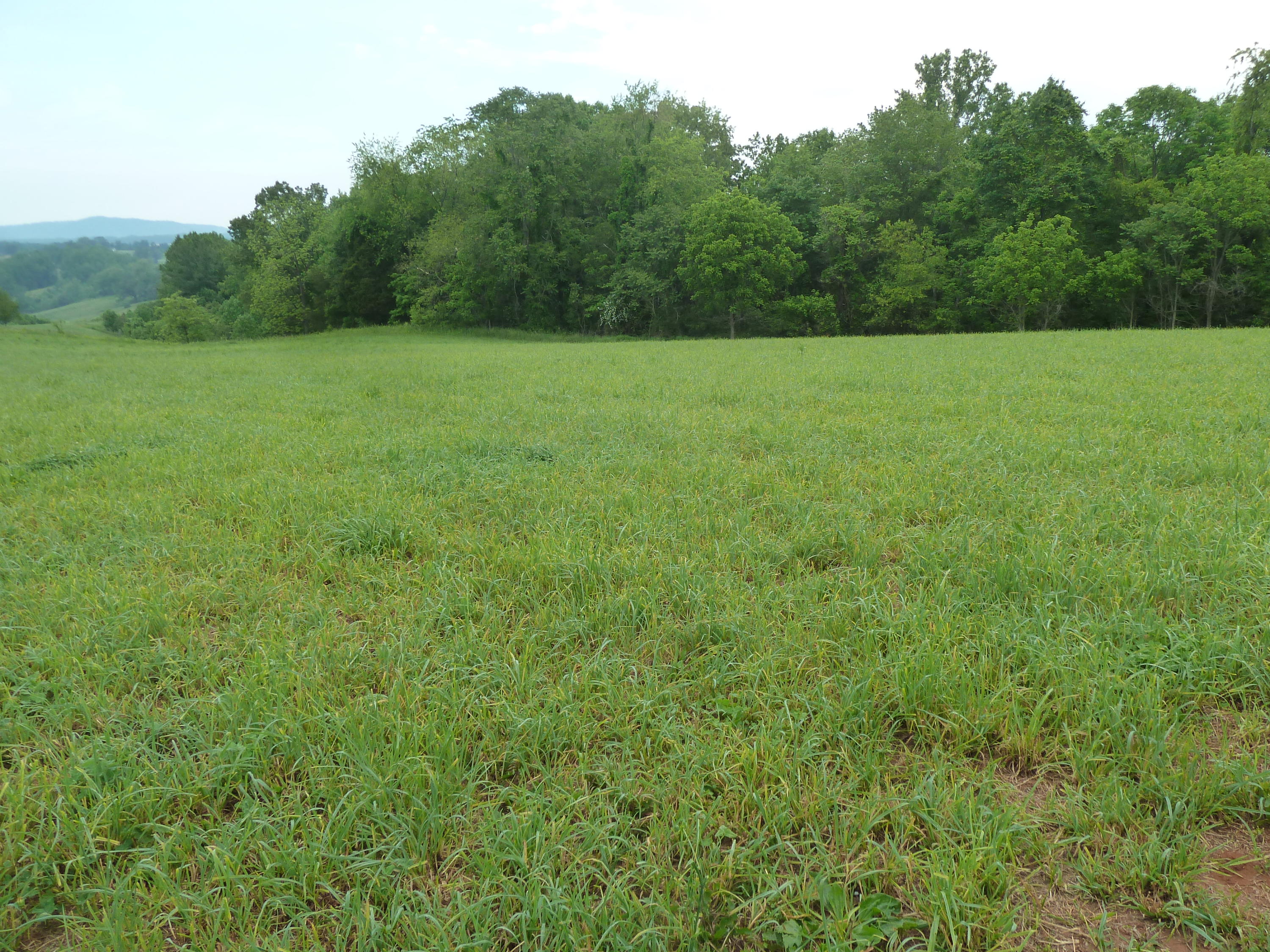 925 Alean Road Wirtz, VA 24184 - Photo 3 of 15 3