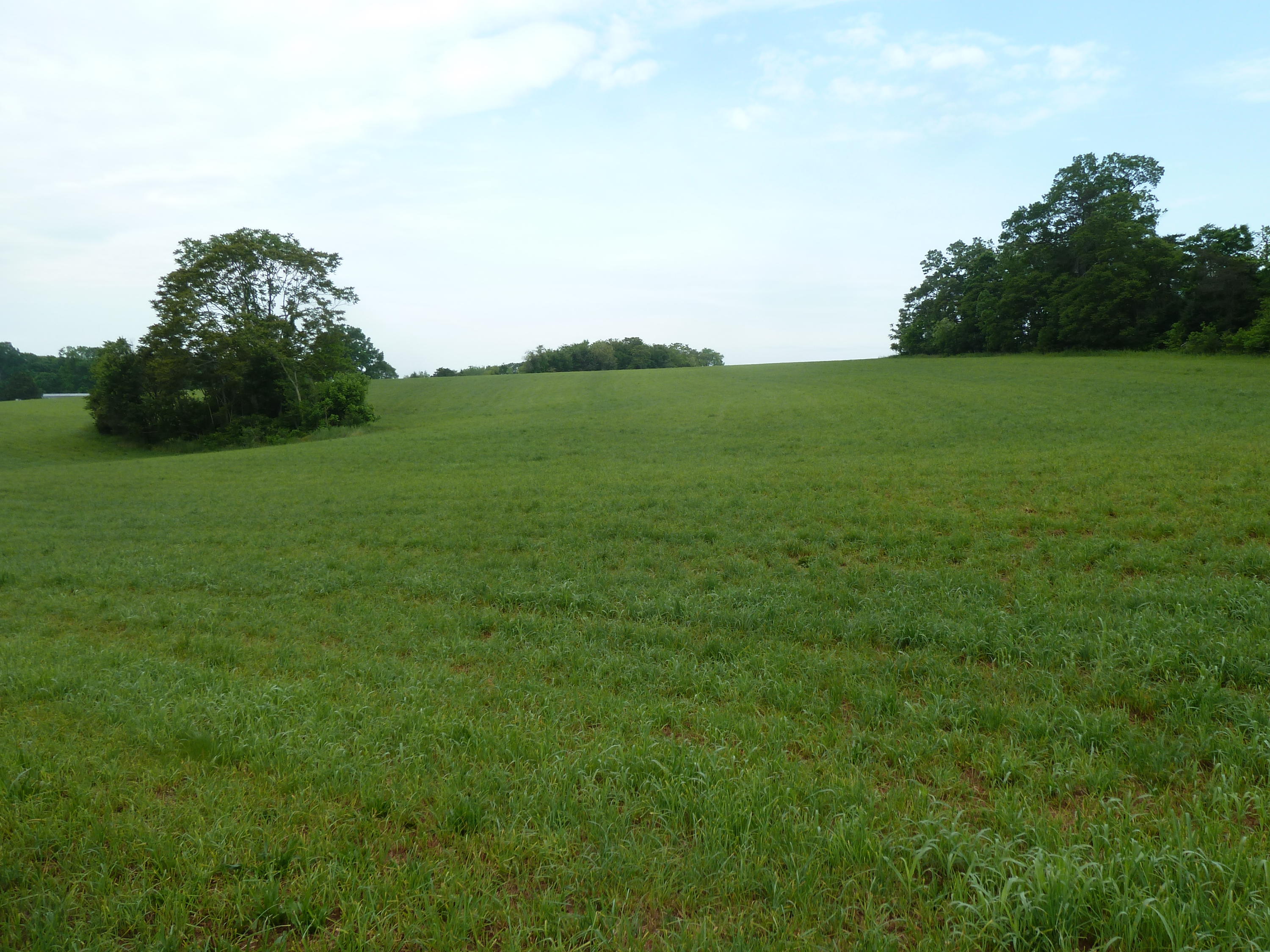 925 Alean Road Wirtz, VA 24184 - Photo 5 of 15 5