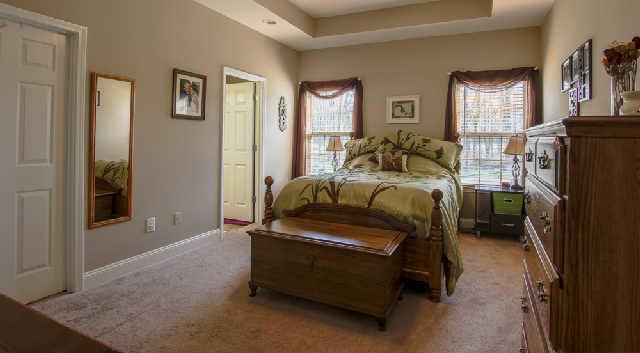 2225 Lee Road Spring Hill, TN 37174 - Photo 8 of 20 Master Ensuite featuring trey ceiling and large windows. To the left is a walk in closet.