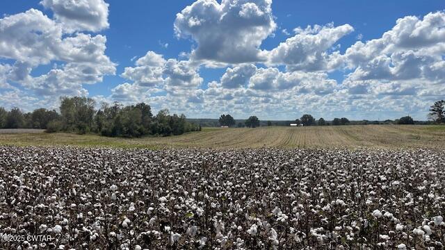 0 Christmasville Road Medina, TN 38355 - Photo 1 of 37 a view of a lake
