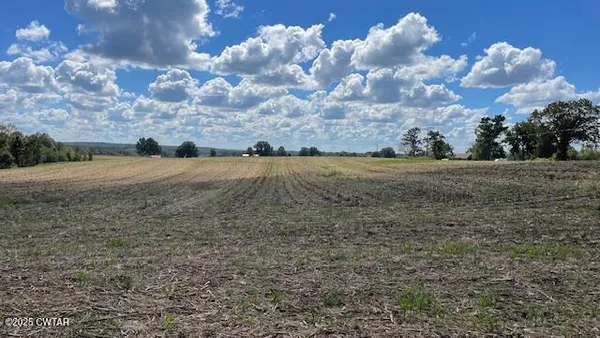 $722,500 | 0 Christmasville Road, Medina, TN 38355