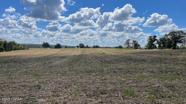 0 Christmasville Road Medina, TN 38355 - Photo 11 of 37 IMG_1842