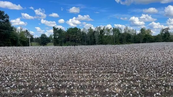 $722,500 | 0 Christmasville Road, Medina, TN 38355