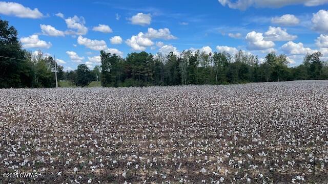 0 Christmasville Road Medina, TN 38355 - Photo 12 of 37 IMG_1841