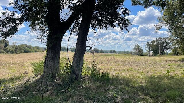 0 Christmasville Road Medina, TN 38355 - Photo 14 of 37 IMG_1838