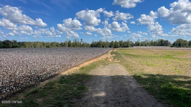 0 Christmasville Road Medina, TN 38355 - Photo 16 of 37 IMG_1836
