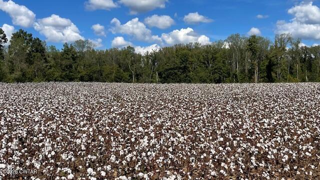 0 Christmasville Road Medina, TN 38355 - Photo 17 of 37 IMG_1880