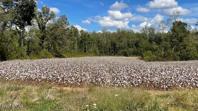 0 Christmasville Road Medina, TN 38355 - Photo 18 of 37 IMG_1876