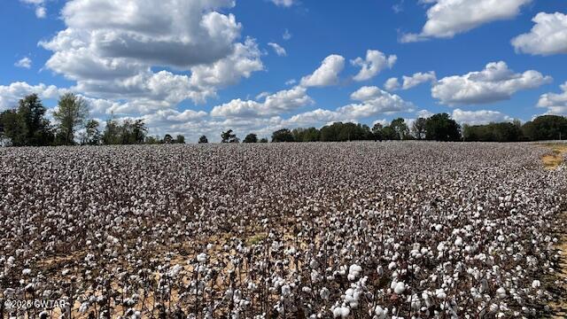 0 Christmasville Road Medina, TN 38355 - Photo 19 of 37 IMG_1875