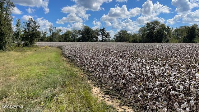 0 Christmasville Road Medina, TN 38355 - Photo 20 of 37 IMG_1873