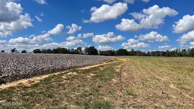 0 Christmasville Road Medina, TN 38355 - Photo 21 of 37 IMG_1872