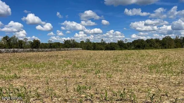 $722,500 | 0 Christmasville Road, Medina, TN 38355