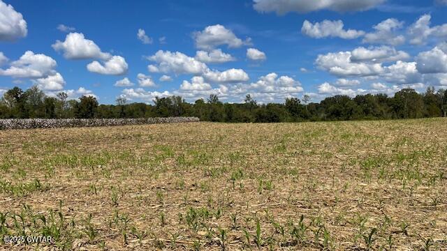 0 Christmasville Road Medina, TN 38355 - Photo 22 of 37 IMG_1870