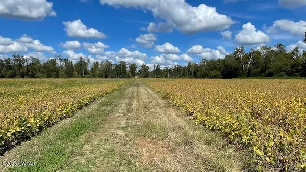 $722,500 | 0 Christmasville Road, Medina, TN 38355