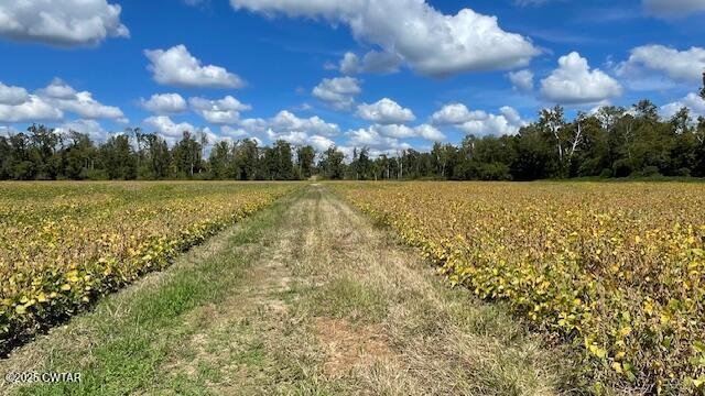 0 Christmasville Road Medina, TN 38355 - Photo 24 of 37 IMG_1900