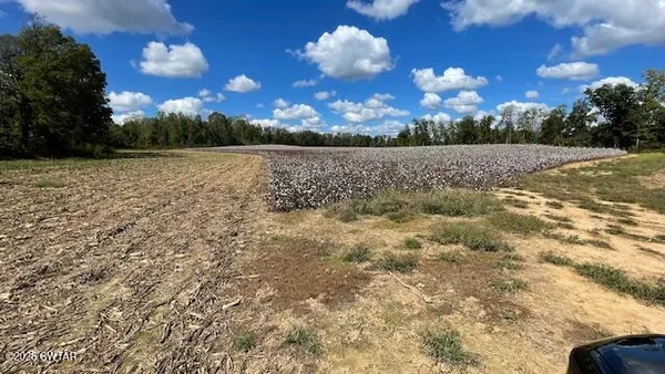 $722,500 | 0 Christmasville Road, Medina, TN 38355