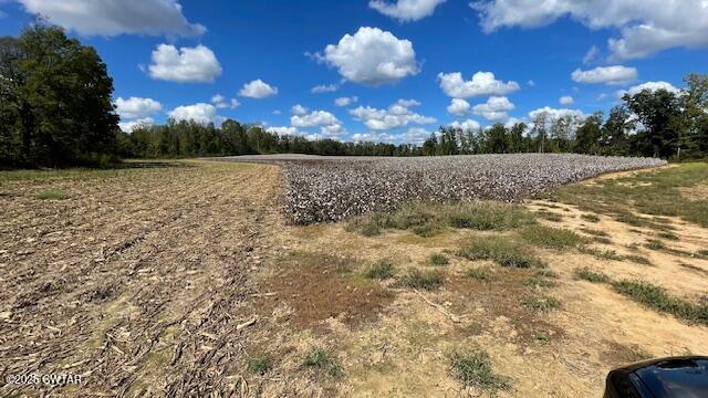 0 Christmasville Road Medina, TN 38355 - Photo 25 of 37 IMG_1901