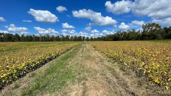 $722,500 | 0 Christmasville Road, Medina, TN 38355