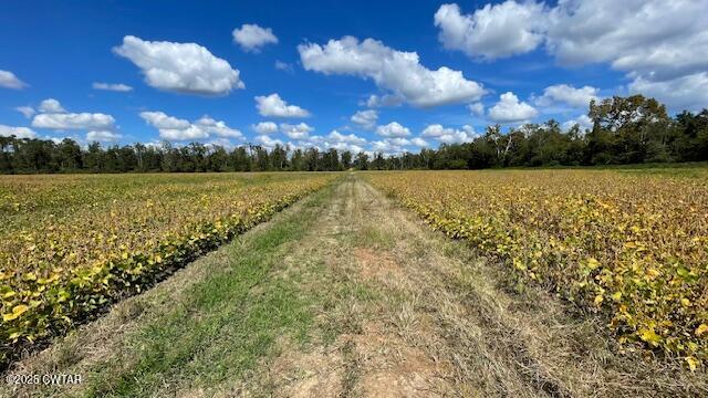0 Christmasville Road Medina, TN 38355 - Photo 26 of 37 IMG_1895